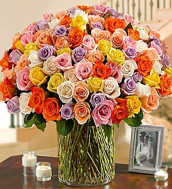 100 Premium Long Stem Multicolored Roses
