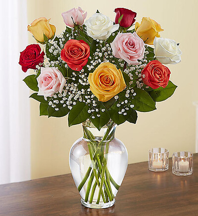 Rose Elegance Premium Long Stem Assorted Roses