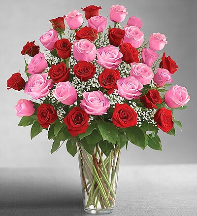 Ultimate Elegance Long Stem Pink  Red Roses