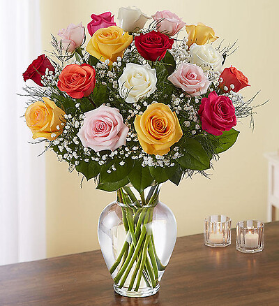 Rose Elegance Premium Long Stem Assorted Roses