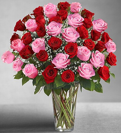 Ultimate Elegance Long Stem Pink  Red Roses